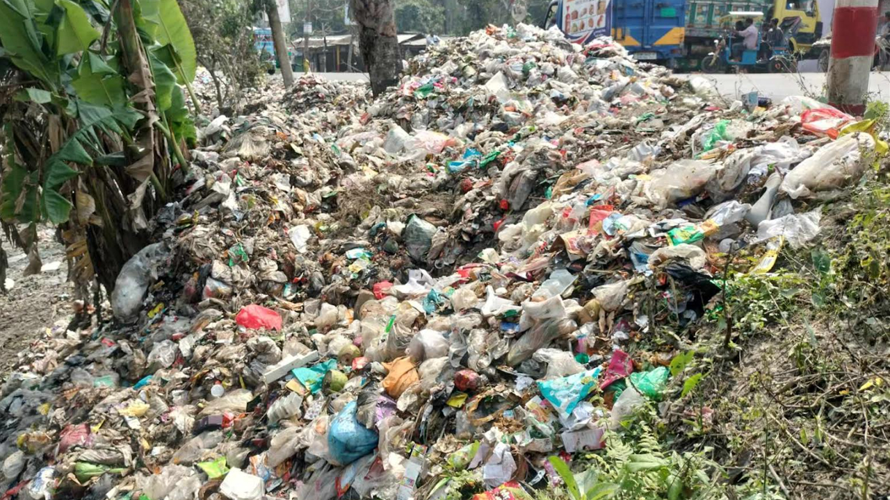 লক্ষ্মীপুরে পৌরসভার বর্জ্যের দুর্গন্ধে ক্লাস না করেই চলে গেল শিক্ষার্থীরা