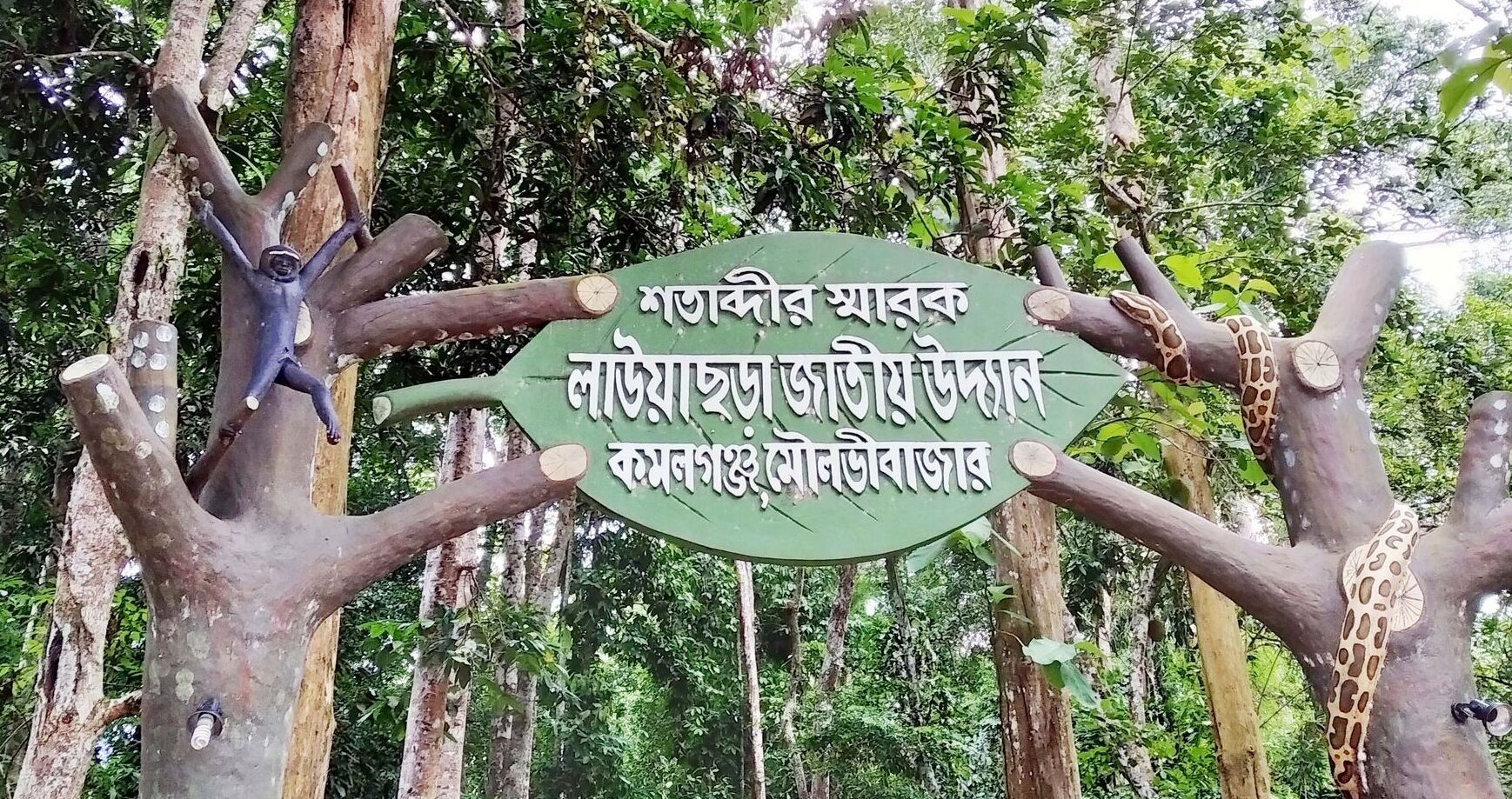 বিজয় দিবসে পর্যটকদের জন্য উন্মুক্ত কমলগঞ্জের লাউয়াছড়া জাতীয় উদ্যান
