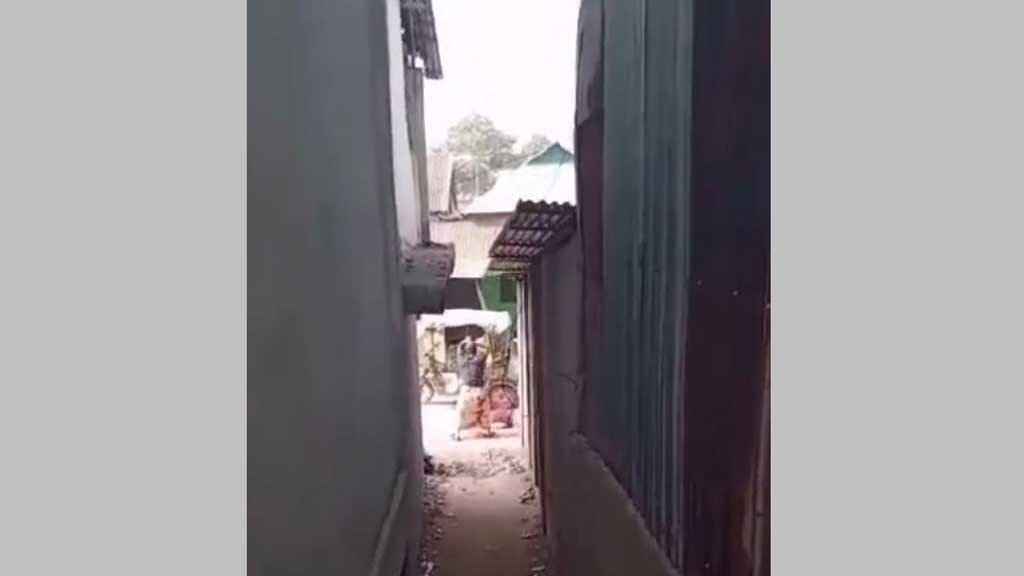 বিএনপি নেতাকে কোপাতে কোপাতে খুনির উল্লাসের ভিডিও ভাইরাল