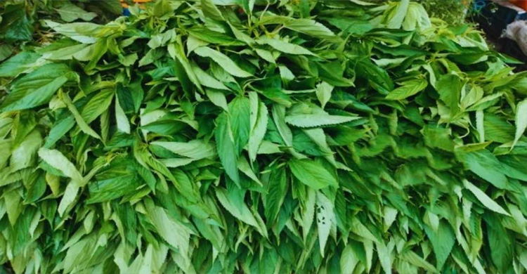 জগন্নাথপুরে কৃষকদের সঙ্গে প্র তা র ণা