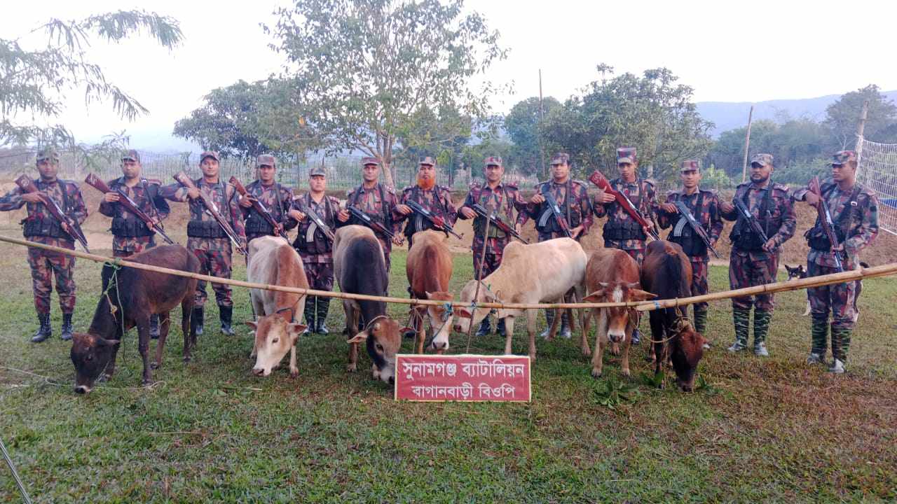 দোয়ারাবাজার সী মা ন্তে ভা র তী য় ৭টি গরু জ ব্দ