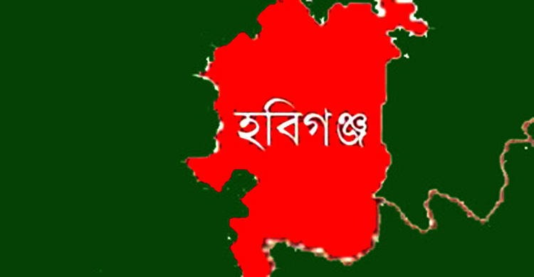 হবিগঞ্জে দুই গ্রামের সং ঘ র্ষ : আ হ ত অ র্ধ শ তা ধি ক