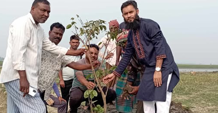 জামালগঞ্জে জলমহাল পুনঃখনন ও বৃক্ষ রোপন কাজের উদ্বোধন 