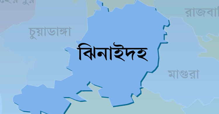 ঝিনাইদহে কু কু রে র কামড়ে আ হ ত ১৫
