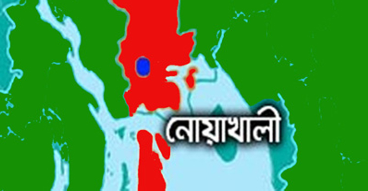 মেলায় ঘুরতে নিয়ে অন্তঃসত্ত্বা স্ত্রীকে গ লা কে টে হ ত্যা করল স্বামী