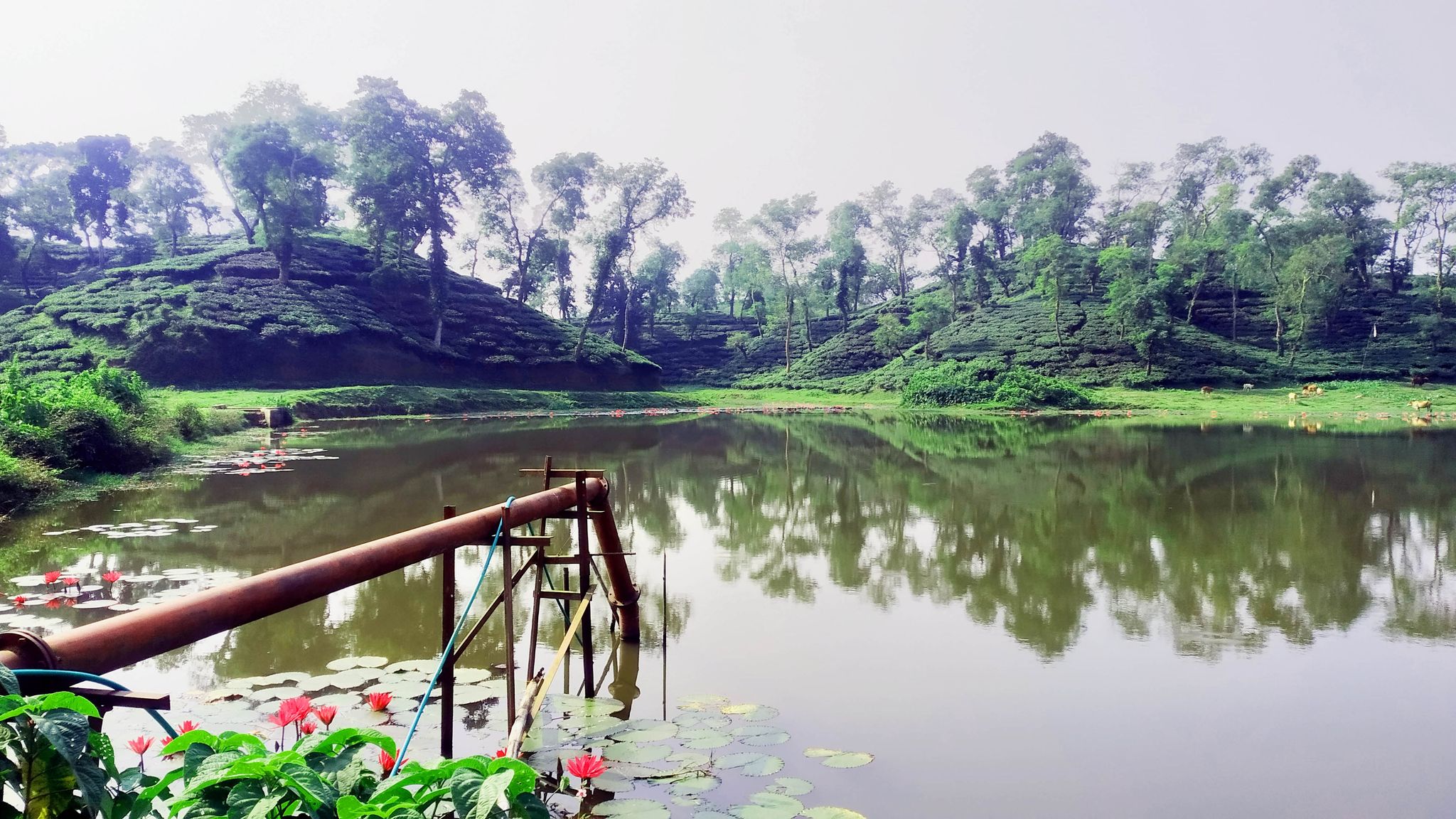 পর্যটনে নতুন আকর্ষণ কমলগঞ্জের &lsquo;বামবুতল লেক&rsquo;