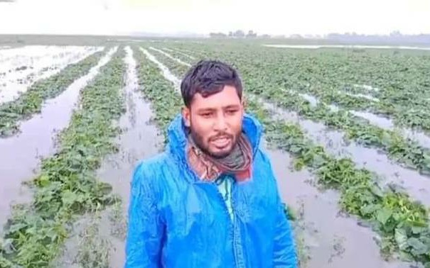 ভারি বৃষ্টিতে ফসলের ব্যাপক ক্ষতি