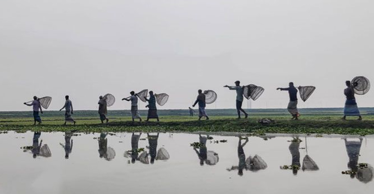  জগন্নাথপুরে পলো বাওয়া উৎসব