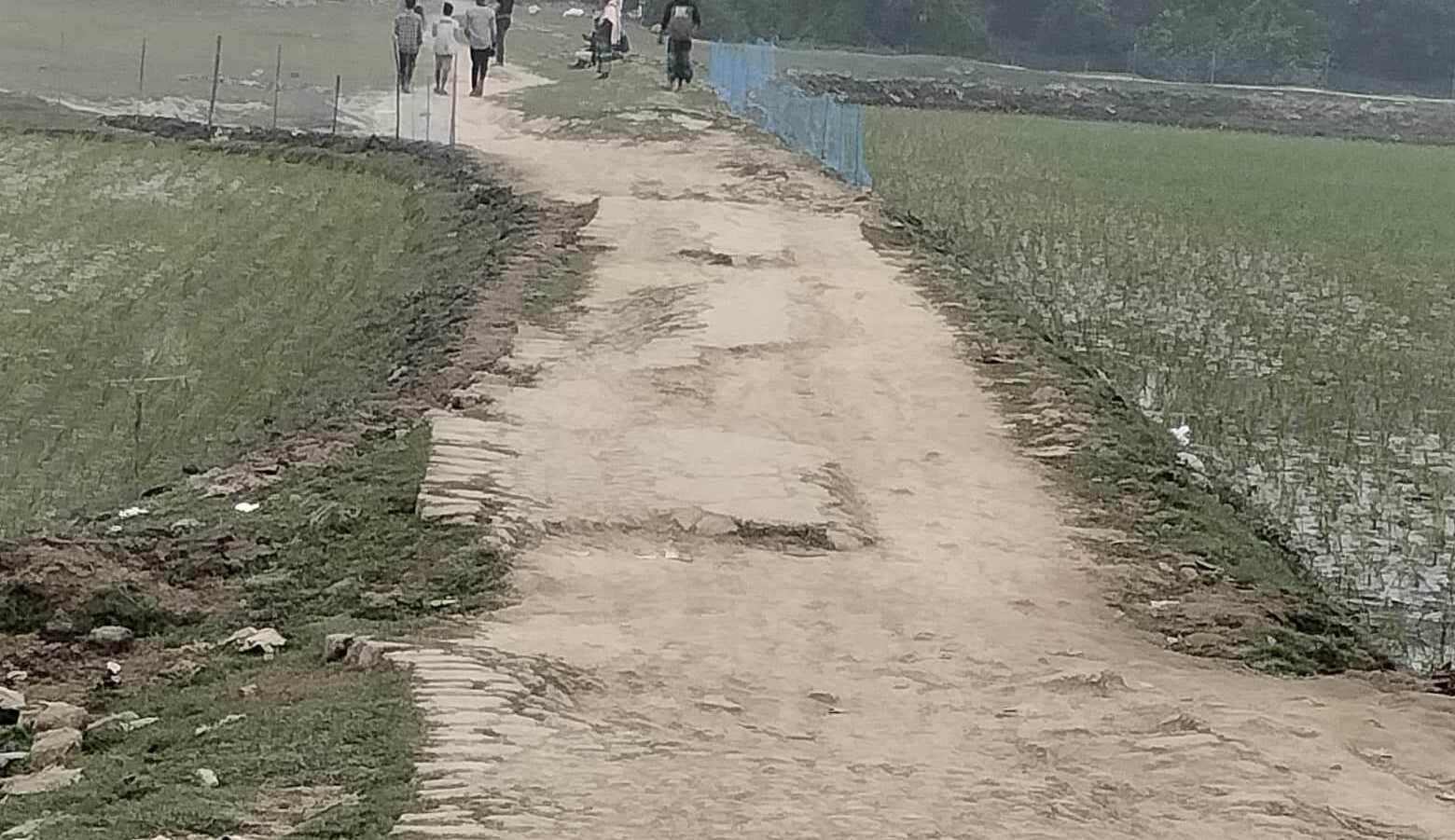 লাখাই অভয় চরণ রাধা চরণ উচ্চ বিদ্যালয়ের রাস্তার বেহাল দশা, দেখার কেউ নেই!