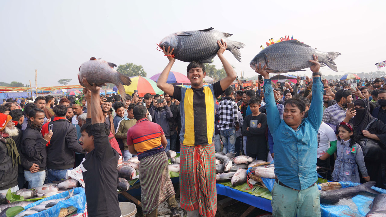 জামাই-শ্বশুরের মাছ কেনার প্রতিযোগিতা