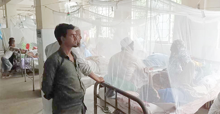ডেঙ্গুতে আরও ৪ জনের মৃ ত্যু, হাসপাতালে ১১৫৪