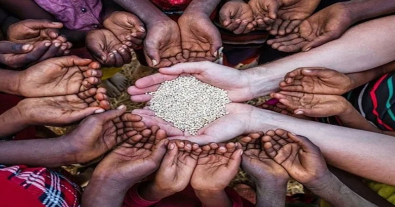 খাদ্য নিরাপত্তার ঝুঁ/কিতে বিশ্বের ২৬ কোটি মানুষ