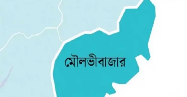 অপারেশন ডেভিল হান্টে মৌলভীবাজারে গ্রে প্তা র  ৪৪