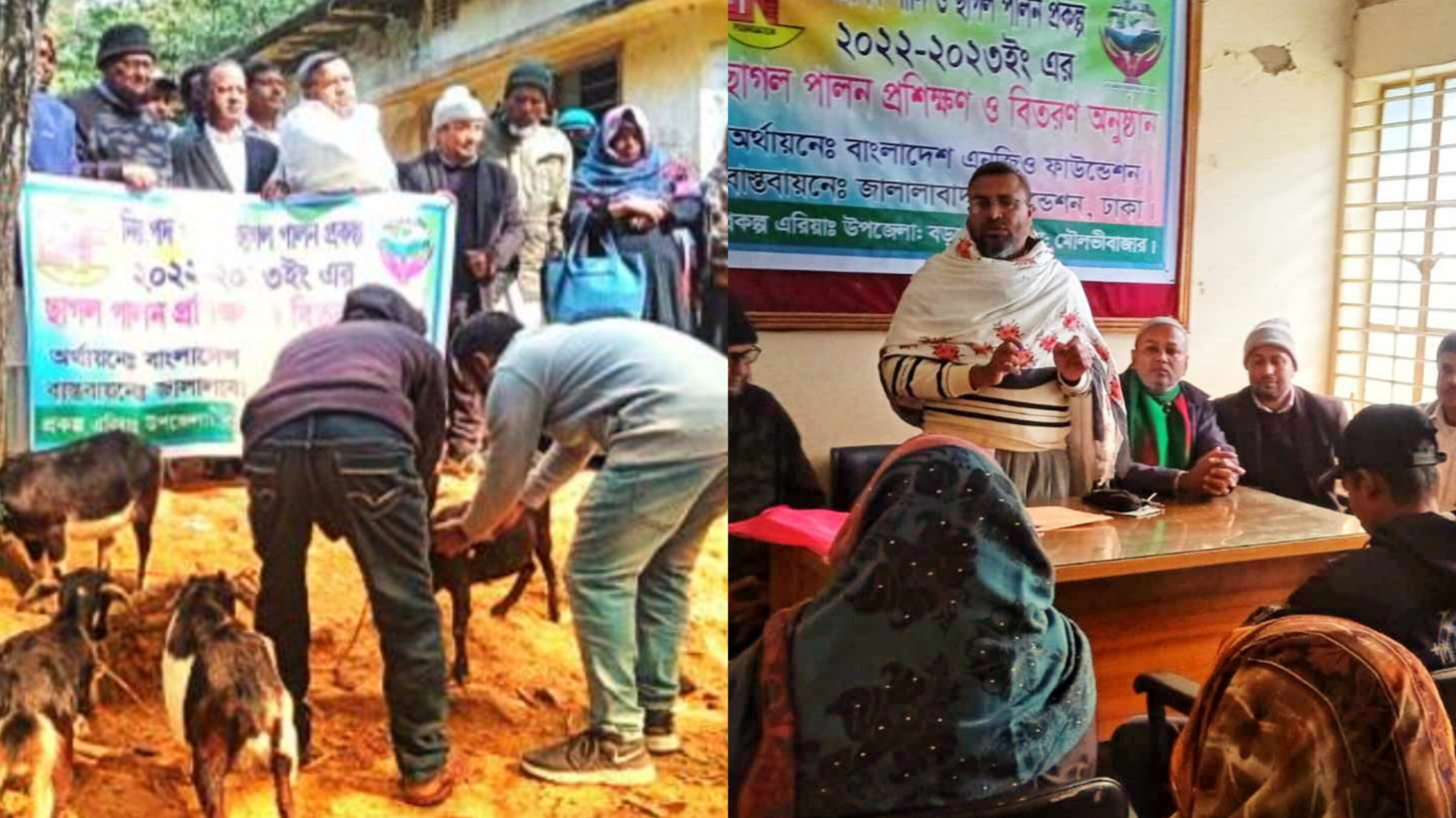 বড়লেখায় অসচ্ছল পরিবারের মাঝে ছাগল বিতরণ প্রশিক্ষণ কর্মশালা 