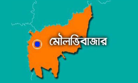 বড়লেখায় পুকুরে ডু*বে প্রা*ণ গেল দুই শিশুর