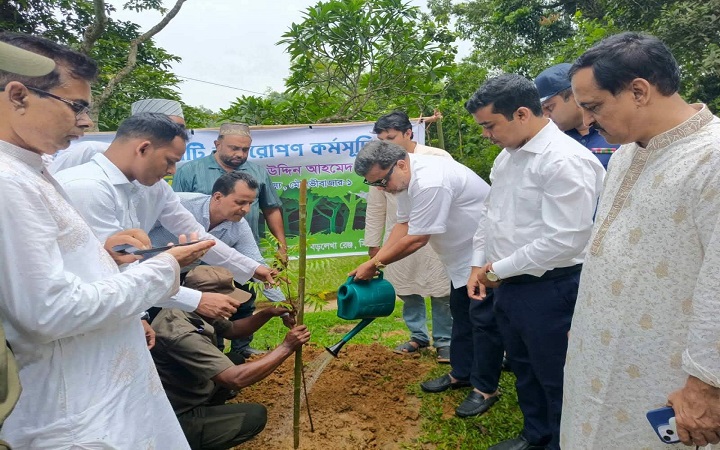 পরিবেশের ভারসাম্য বজায় রাখতে বেশি বেশি গাছ লাগান- এমপি  মিঠু