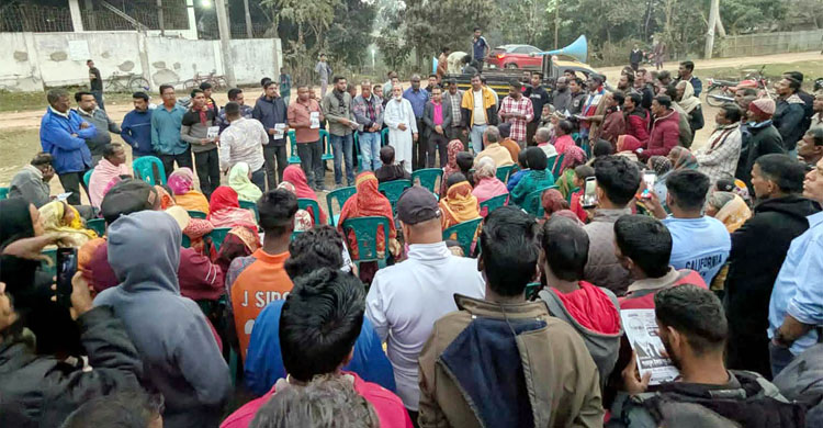 কুলাউড়ায় ধানের শীষের সমর্থনে গাজীপুর চা-বাগানে উঠোন বৈঠক ও মিছিল