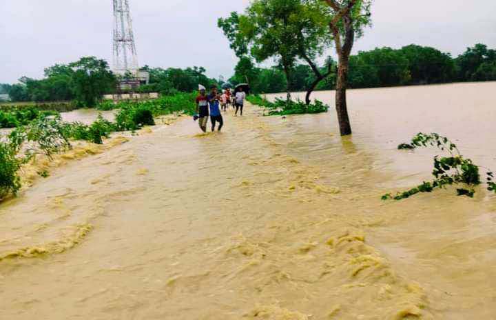 মাধবপুরে অতিবর্ষণ ও পাহাড়ি ঢলে মাছ ও কৃষির স র্ব না শ