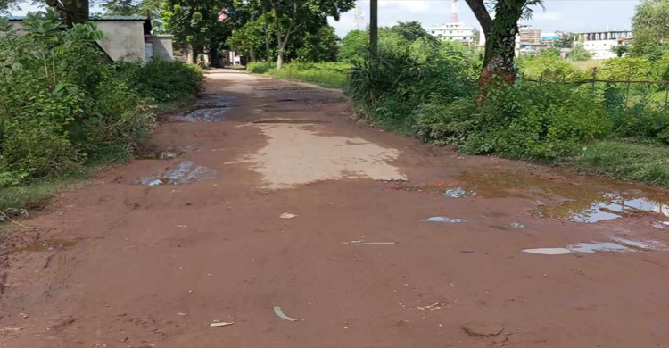 রাস্তার বেহাল দশা, ভোগান্তিতে ২০ গ্রামের মানুষ