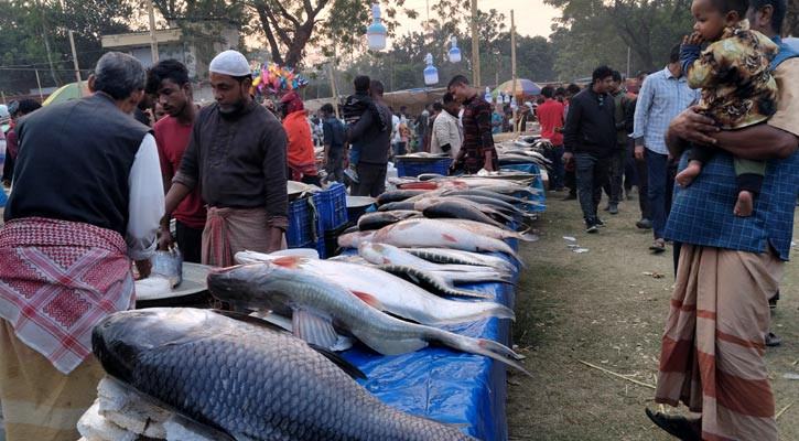 হবিগঞ্জে জমে উঠেছে ঐতিহ্যবাহী মাছের মেলা