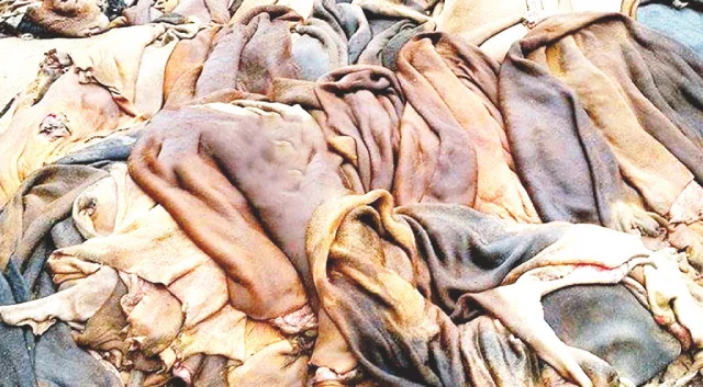কোরবানির গরুর চামড়ার দাম নির্ধারণ