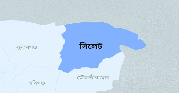 সিলেটের এয়ারপোর্ট থেকে মা- ছেলে আ ট ক