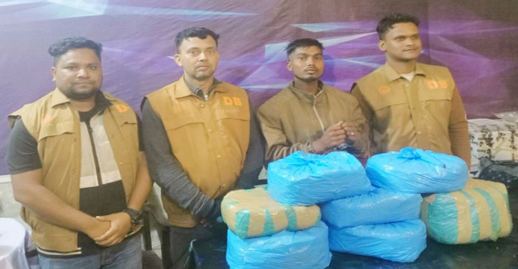 সুনামগঞ্জে ১৬ কেজি গাঁজাসহ মাদক কারবারি গ্রেপ্তার 