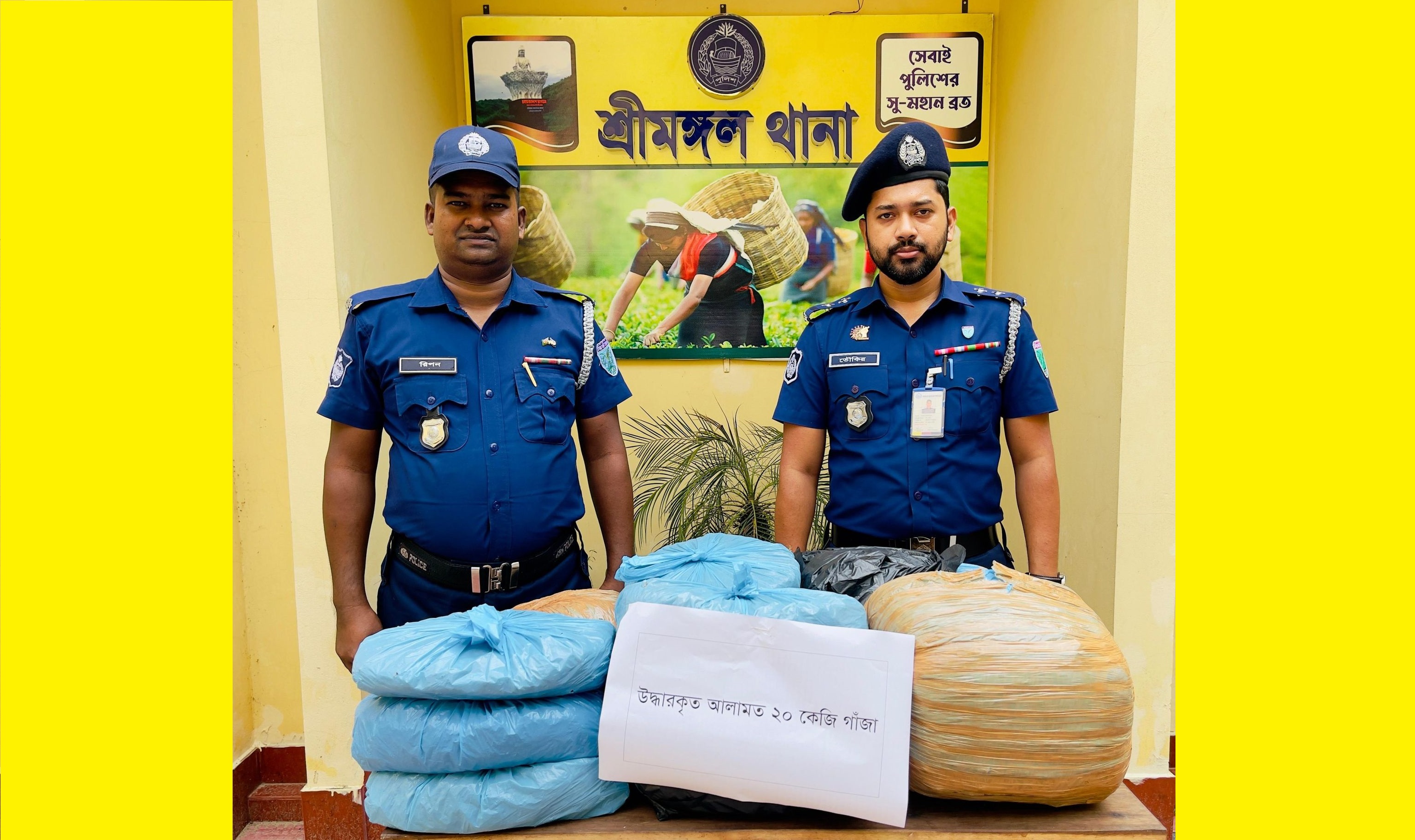 শ্রীমঙ্গল সুন্দরবন কুরিয়ার সার্ভিস থেকে গাঁজা উ দ্ধা র