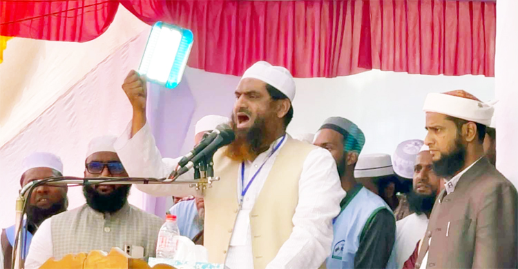 জনগণের সম্পদ চু রি করে যারা খায়, তা জাহা*ন্নামের আ গু ন: মামুনুল হক