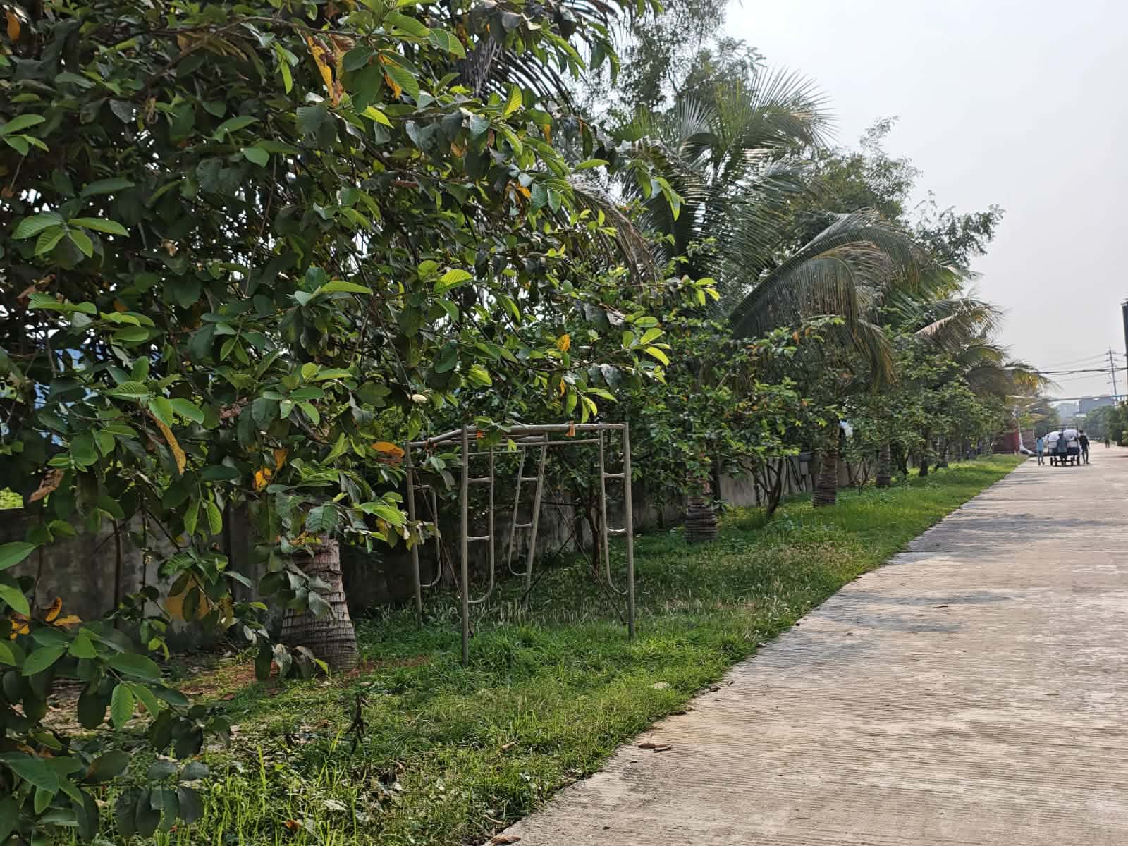 যমুনা শিল্প পার্কে সবুজায়ন