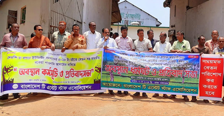 হবিগঞ্জে তিন চা বাগানের কর্মচারীদের বেতন পরিশোধের দাবি