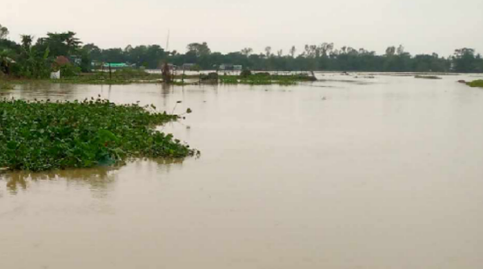 আজমিরীগঞ্জে নিম্নাঞ্চল প্লাবিত,কালনী কুশিয়ারা নদীর পানি বৃদ্ধি 