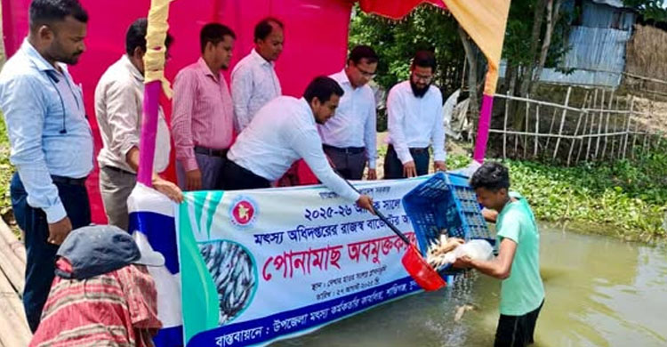 শান্তিগঞ্জে পোনামাছ মাছ অবমুক্ত