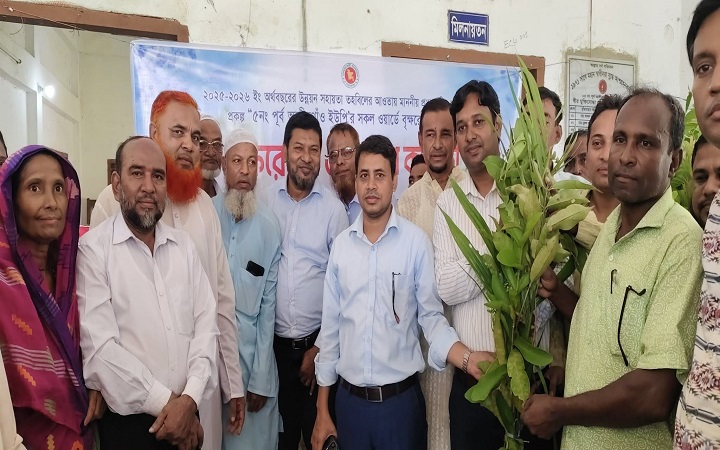 গোয়াইনঘাটের আলীরগাঁওয়ে বৃক্ষরোপণ ও চারা বিতরণ