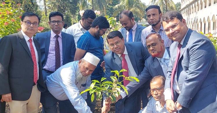 মৌলভীবাজার পূবালী ব্যাংকের বৃক্ষরোপন