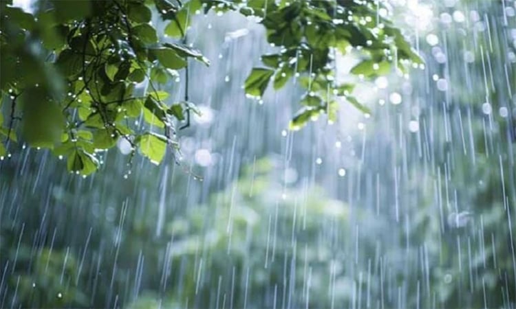 সিলেটসহ পাঁচ বিভাগে ব*জ্রবৃষ্টির আভাস