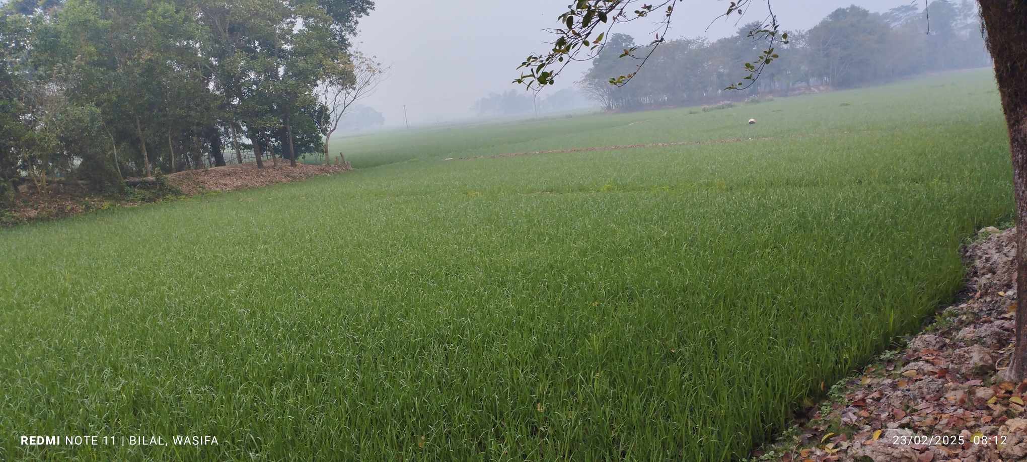 জগন্নাথপুরে বৃষ্টির জন্য হা*হাকার, মসজিদে মোনাজাত
