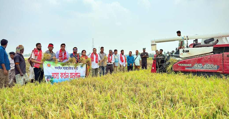 মাধবপুরে কম্বাইন্ড হার্ভেস্টার দ্বারা ধান কাটার উদ্যোগ