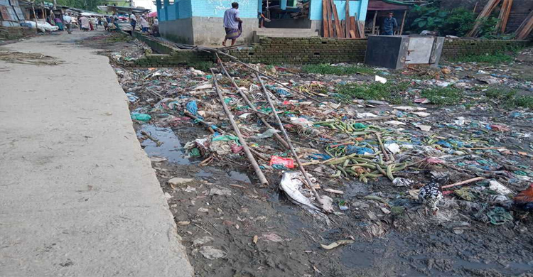 যেন আবর্জনার ভাগাড়, চরম ভোগান্তি