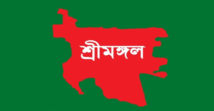 শ্রীমঙ্গল সড়কে ঝরল তিন প্রাণ