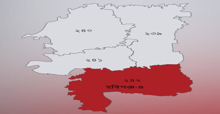 হবিগঞ্জ-৪ আসন ঘিরে ব্রাহ্মণবাড়িয়ার পীরদের তৎপরতা, মুরিদদের মধ্যে বিভ্রান্তি