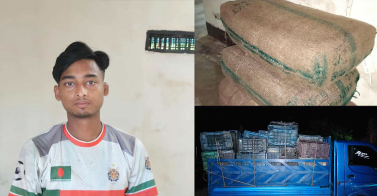 জৈন্তাপুরে ভা র তী য় এলাচ ভর্তি পিকআপ সহ আ ট ক -১