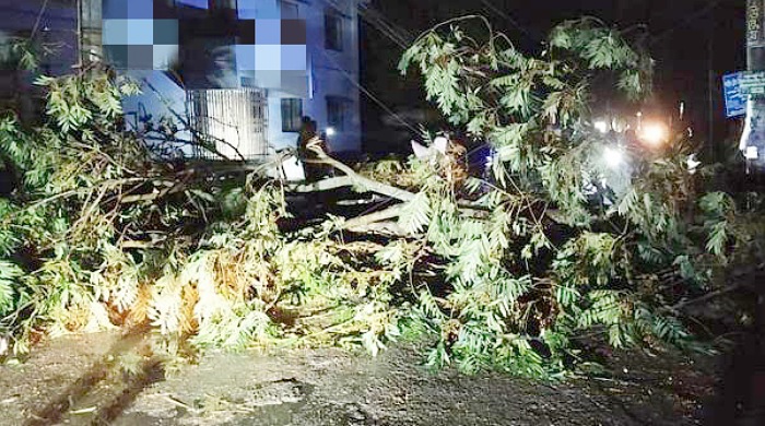 নবীগঞ্জ-বানিয়াচংয়ে কালবৈশাখি ও শিলাবৃষ্টি, ব্যাপক ক্ষয়ক্ষতি