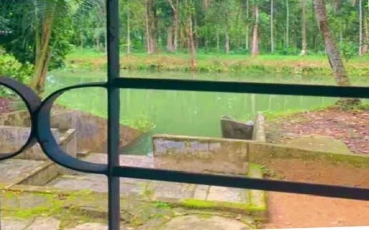 বড়লেখায় পুকুরে ডু*বে শিশুর মৃ*ত্যু, এলাকায় শো*ক