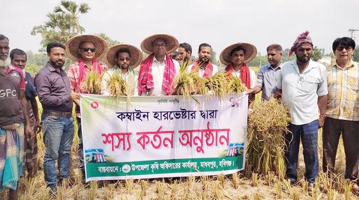 মাধবপুরে কম্বাইন হারভেষ্টার যন্ত্র দিয়ে ধান কাটার উদ্বোধন