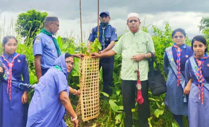 জুলাই গণ অ ভ্যু ত্থা নে শহিদ স্কাউটদের স্মরণে মাধবপুরে বৃক্ষরোপণ কর্মসূচি পালিত