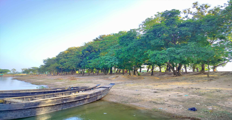  সংবাদ প্রকাশের পর দখল মুক্ত হলো সেই ফসল রক্ষা পান্ডারখাল বাঁধ