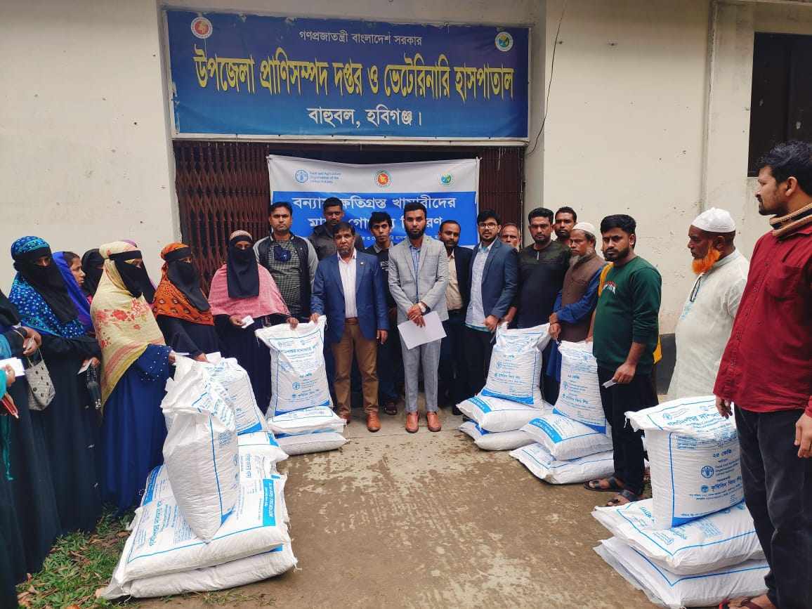 বাহুবলে বন্যায় ক্ষতিগ্রস্ত খামারীদের মাঝে গোখাদ্য বিতরণ