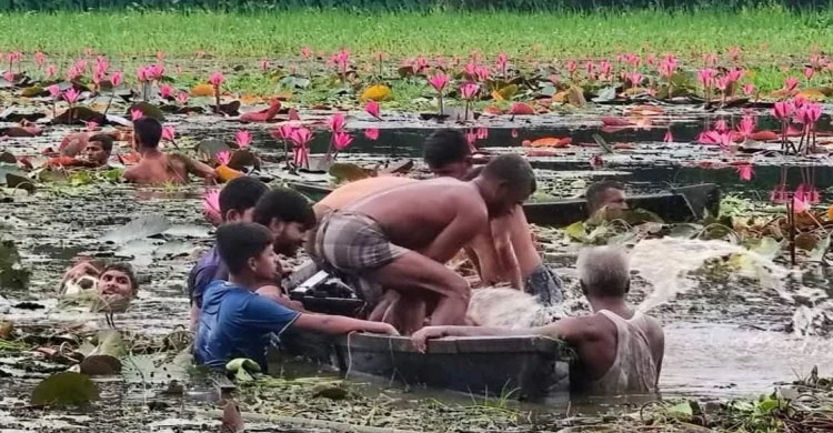 শাপলা বিলে নৌকা নিয়ে ঘুরতে গিয়ে দুইজনের মৃ ত্যু
