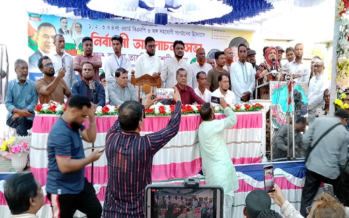 বিএনপি বাংলাদেশকে একটি  উন্নয়নশীল দেশে রূপান্তরিত করতে চায়  -তাহসিনা রুশদীর লুনা